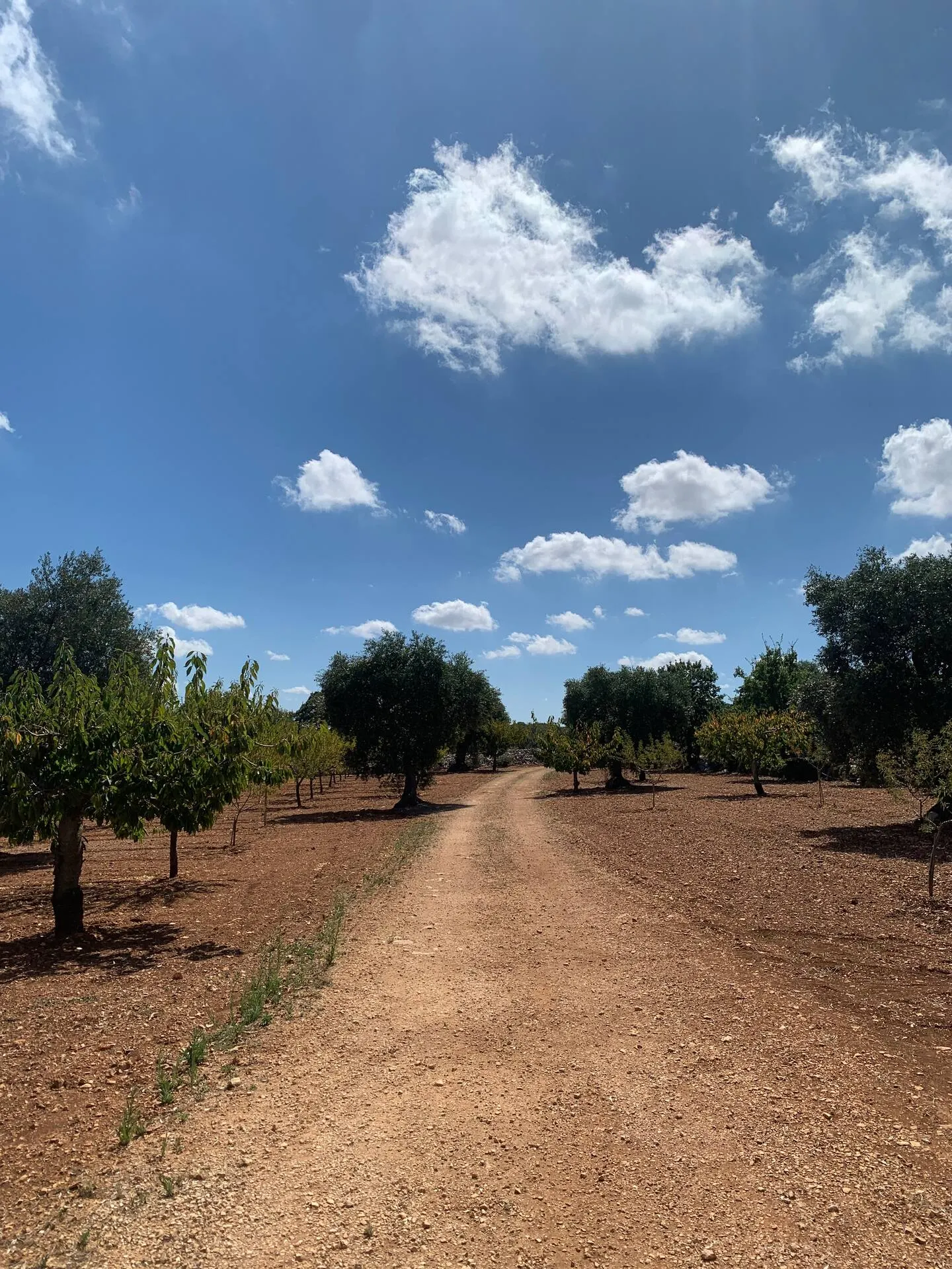 BQA La Masseriola Private Villa-Trullo